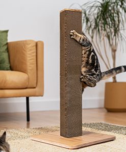 Cat Scratching Post